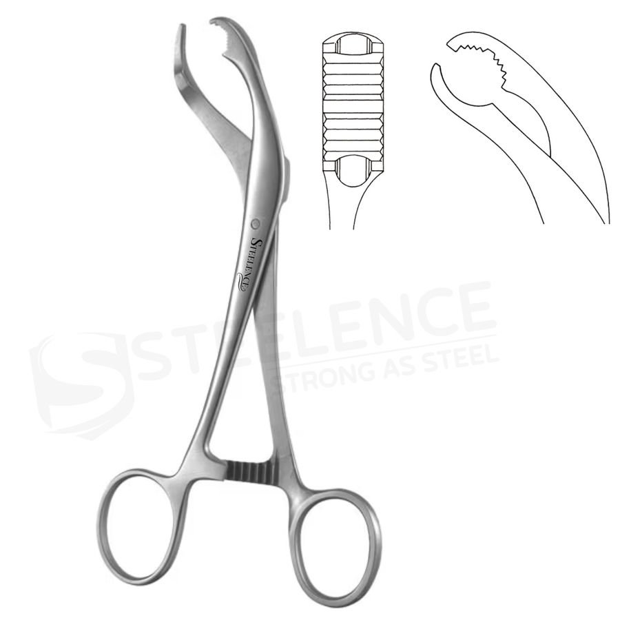 Veterinary Forceps